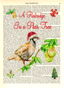 partridge in pear tree