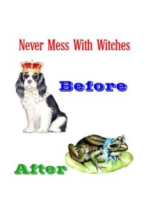 Never mess with witches print