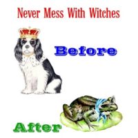 Never mess with witches print